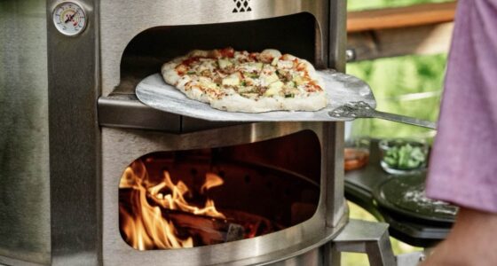 Breeo Pizza Oven and man cooking